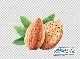 خرید بادام محب عالی +خرید به صرفه